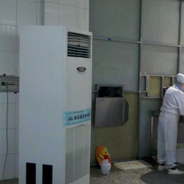 济宁食品正负离子空气杀菌器